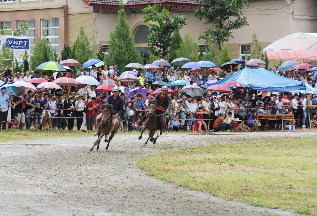 Vòng chung kết Giải đua “Vó ngựa cao nguyên trắng” hứa hẹn kịch tính, hấp dẫn ảnh 1