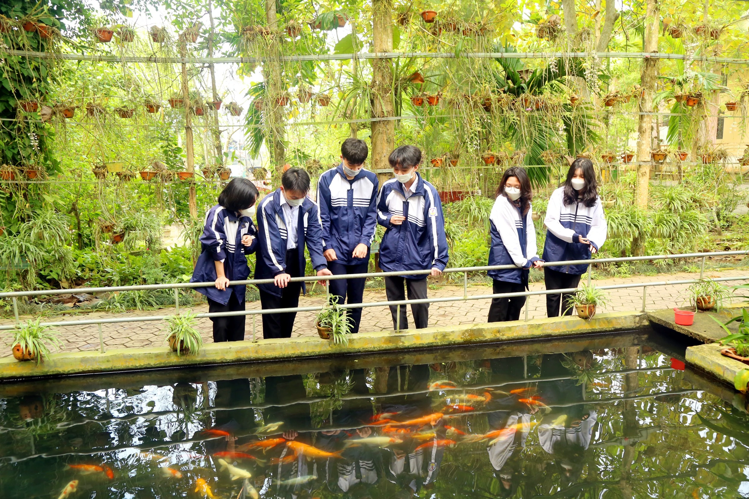 Học sinh thích thú với mô hình nuôi cá chép koi Nhật Bản.