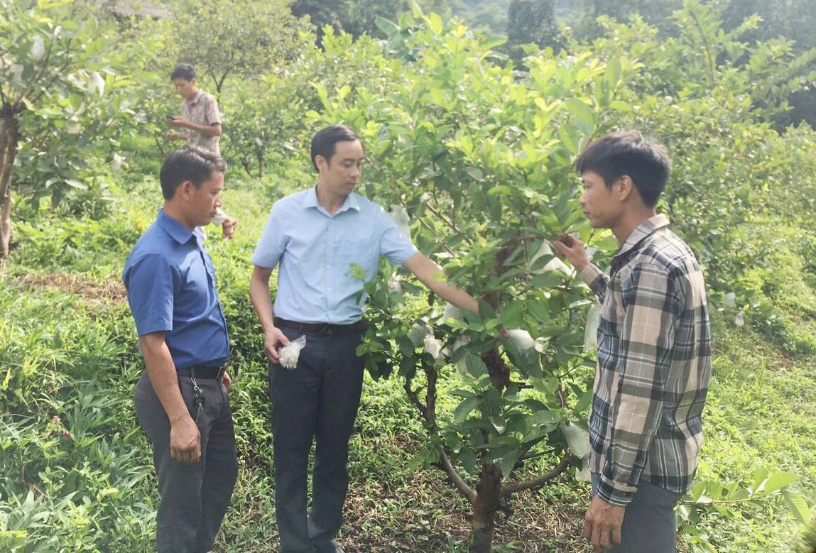 Thành viên Ban Tuyên vận xã Mường Bo (thị xã Sa Pa) tuyên truyền, vận động người dân phát triển kinh tế.