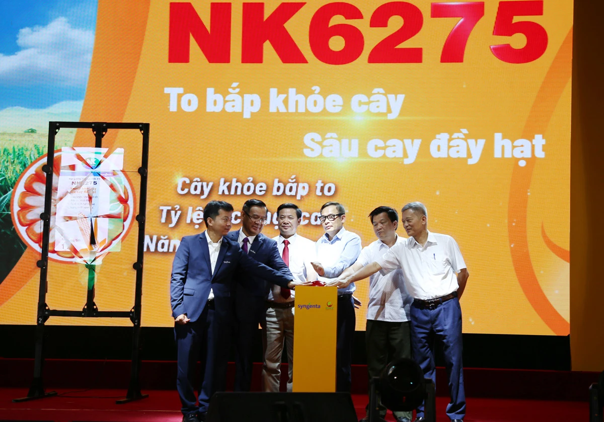 Các đại biểu thực hiện nghi thức ra mắt giống ngô mới F1 NK6275.