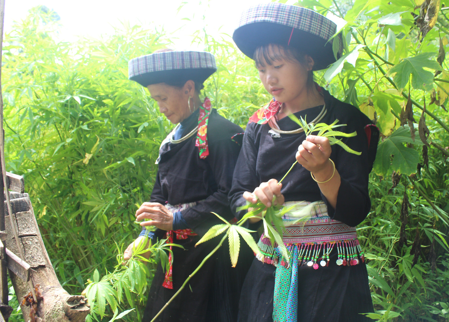 Phụ nữ Mông xanh chuẩn bị trang phục đón Tết cổ truyền ảnh 1