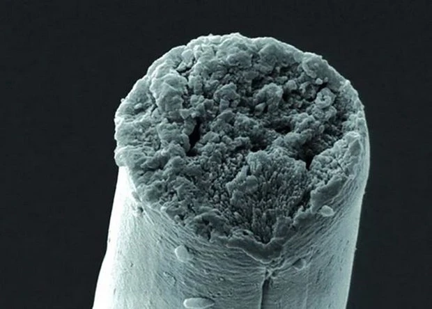 Hình phóng to một sợi tơ. Ảnh minh họa.