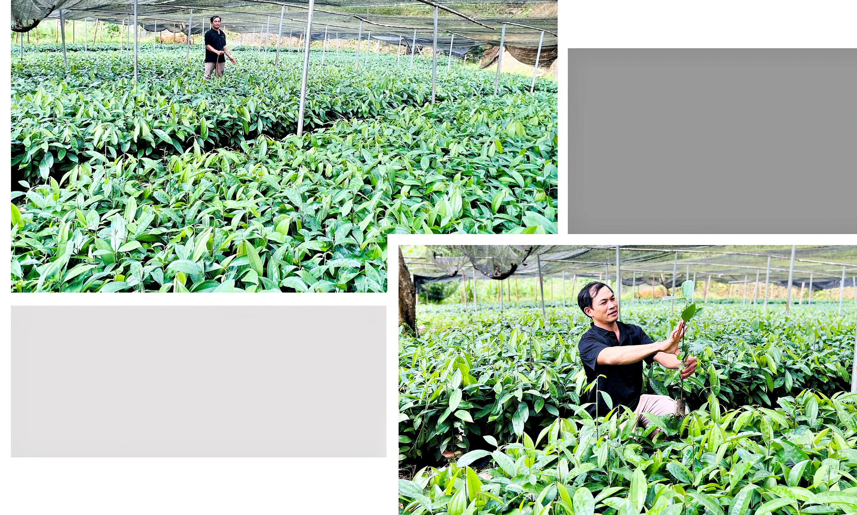 Chuyện về những tỷ phú nông dân ảnh 6