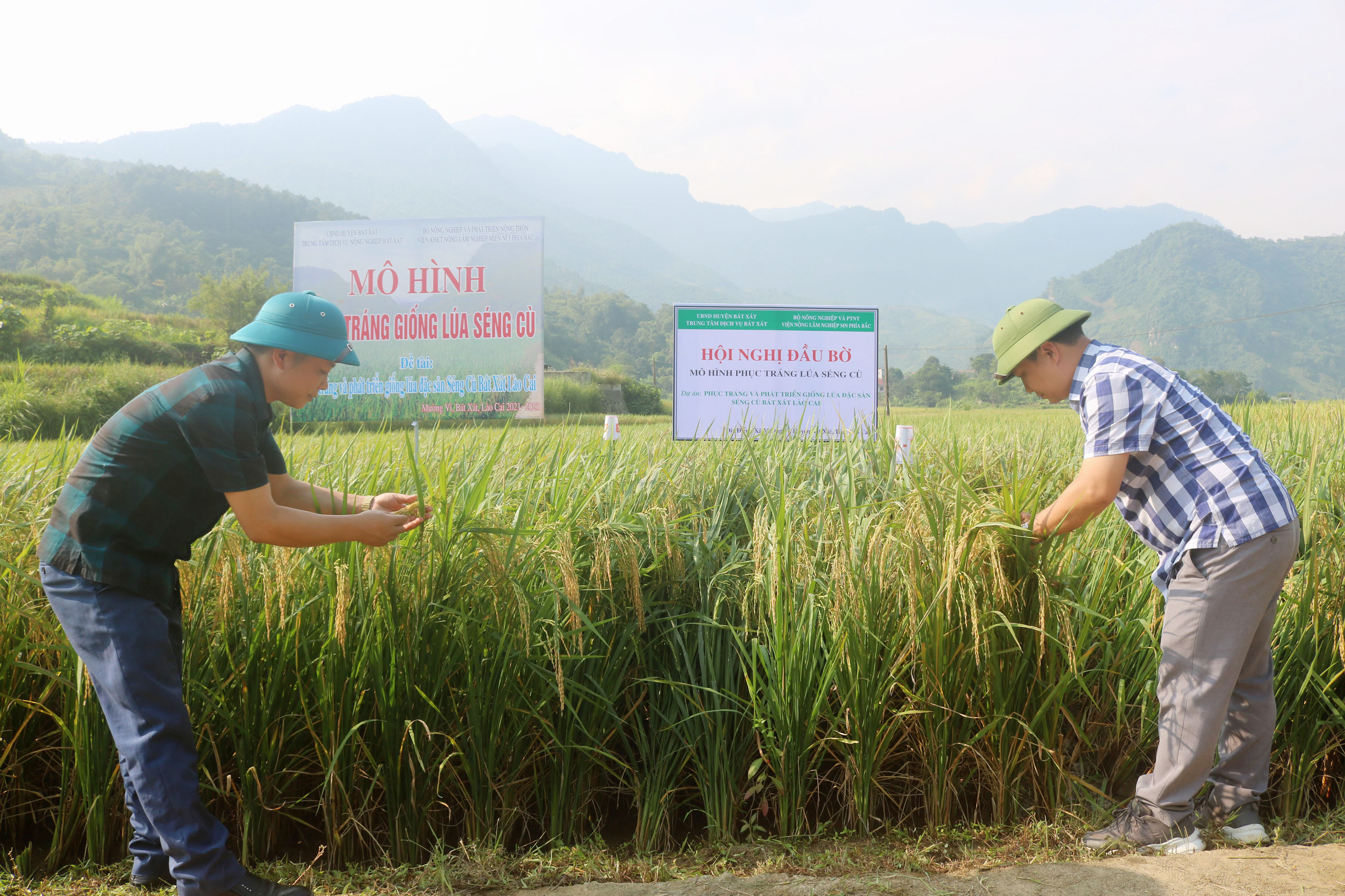 Đánh giá thực tế tại mô hình. Đánh giá thực tế tại mô hình.
