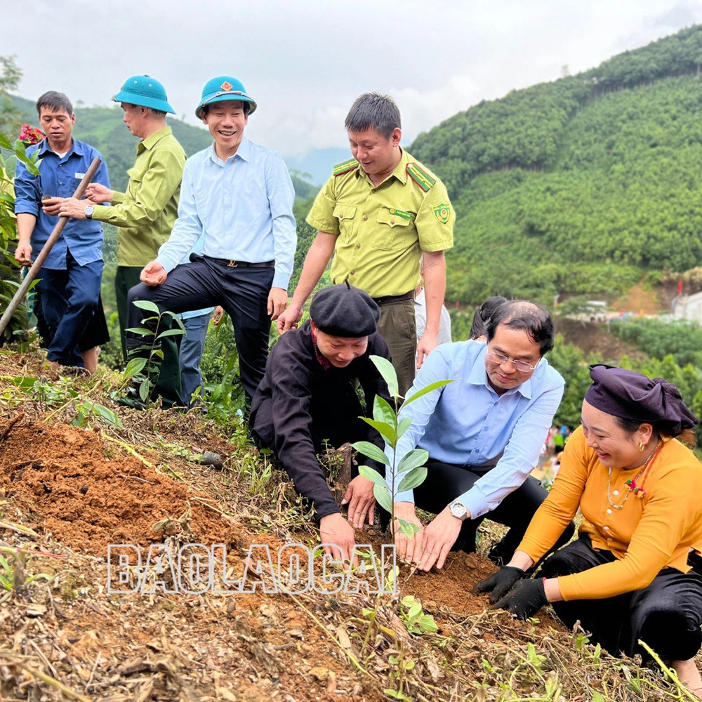 Các đại biểu tham quan vườn quế giống tại xã Vĩnh Yên. Các đại biểu cùng Nhân dân trồng quế theo tiêu chuẩn hữu cơ.