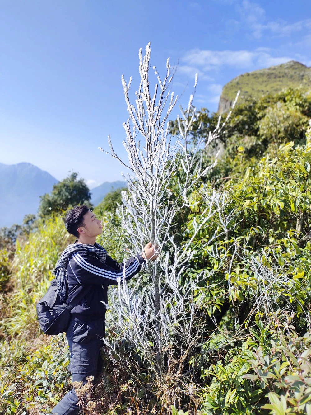 Du khách thích thú "săn" băng giá trên các đỉnh núi cao tại Bát Xát ảnh 6