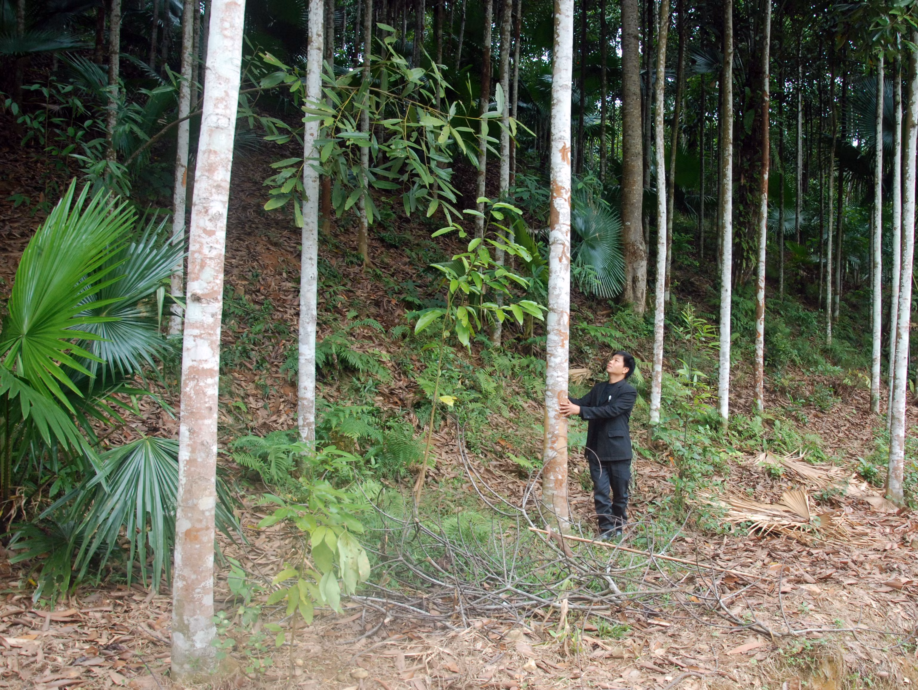 Bí thư chi bộ dám nghĩ, dám làm ảnh 1