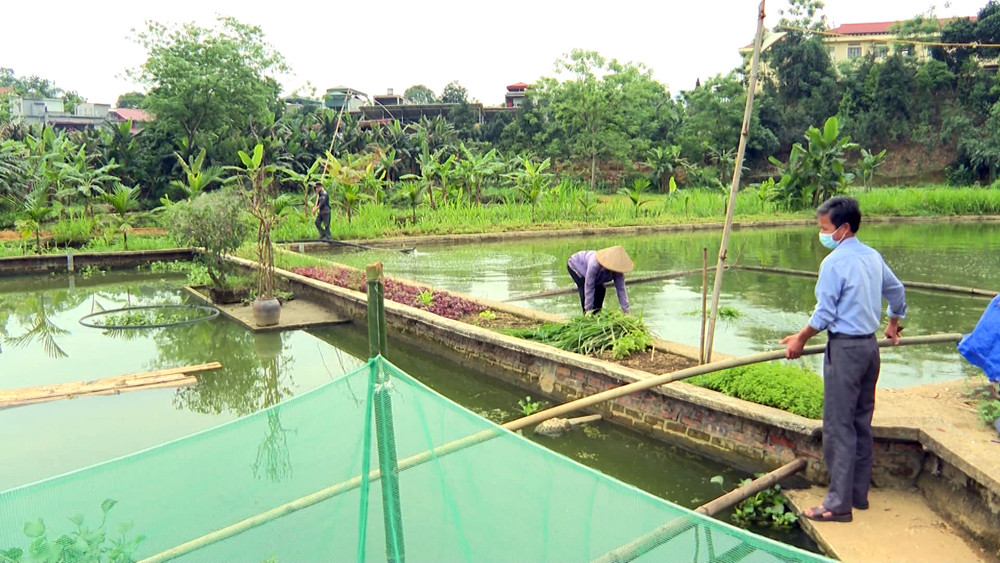 Trưởng thôn tận tụy, nhiệt tình ảnh 1 Trưởng thôn tận tụy, nhiệt tình ảnh 1