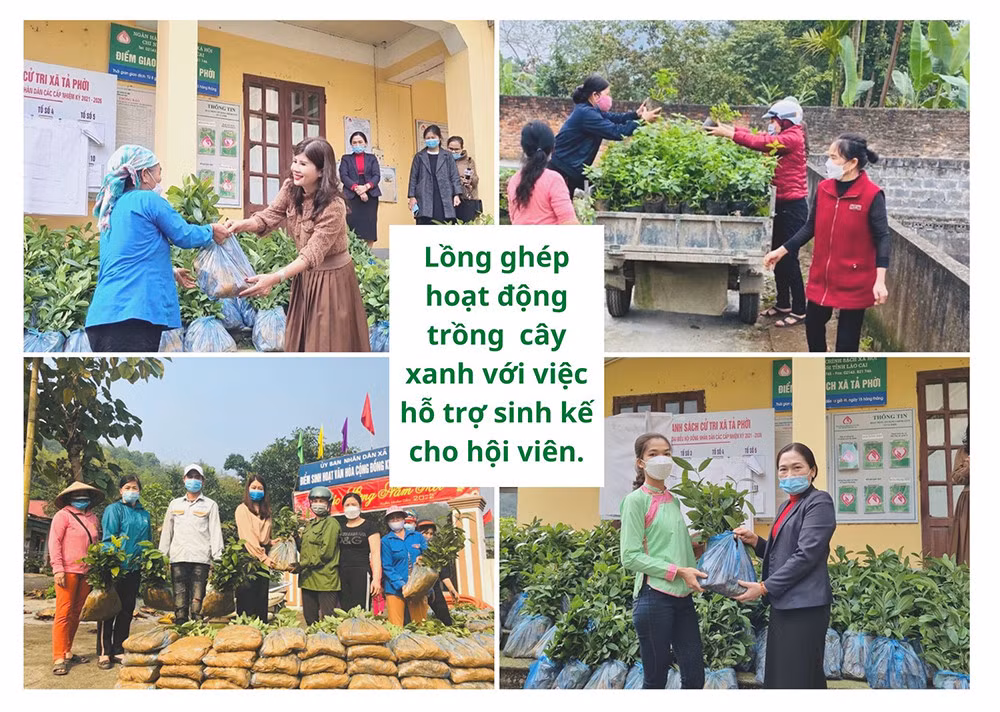 Lan tỏa phong trào trồng cây xanh ảnh 2 Lan tỏa phong trào trồng cây xanh ảnh 2