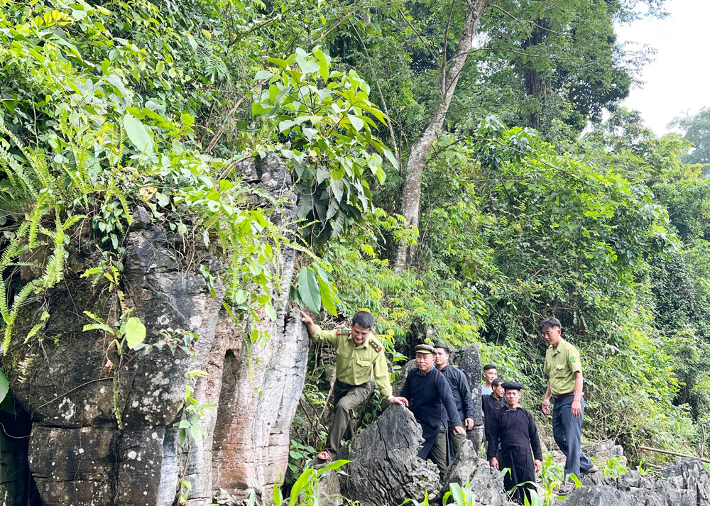 Người dân Cốc Ly cúng rừng cầu mưa thuận, gió hòa ảnh 8