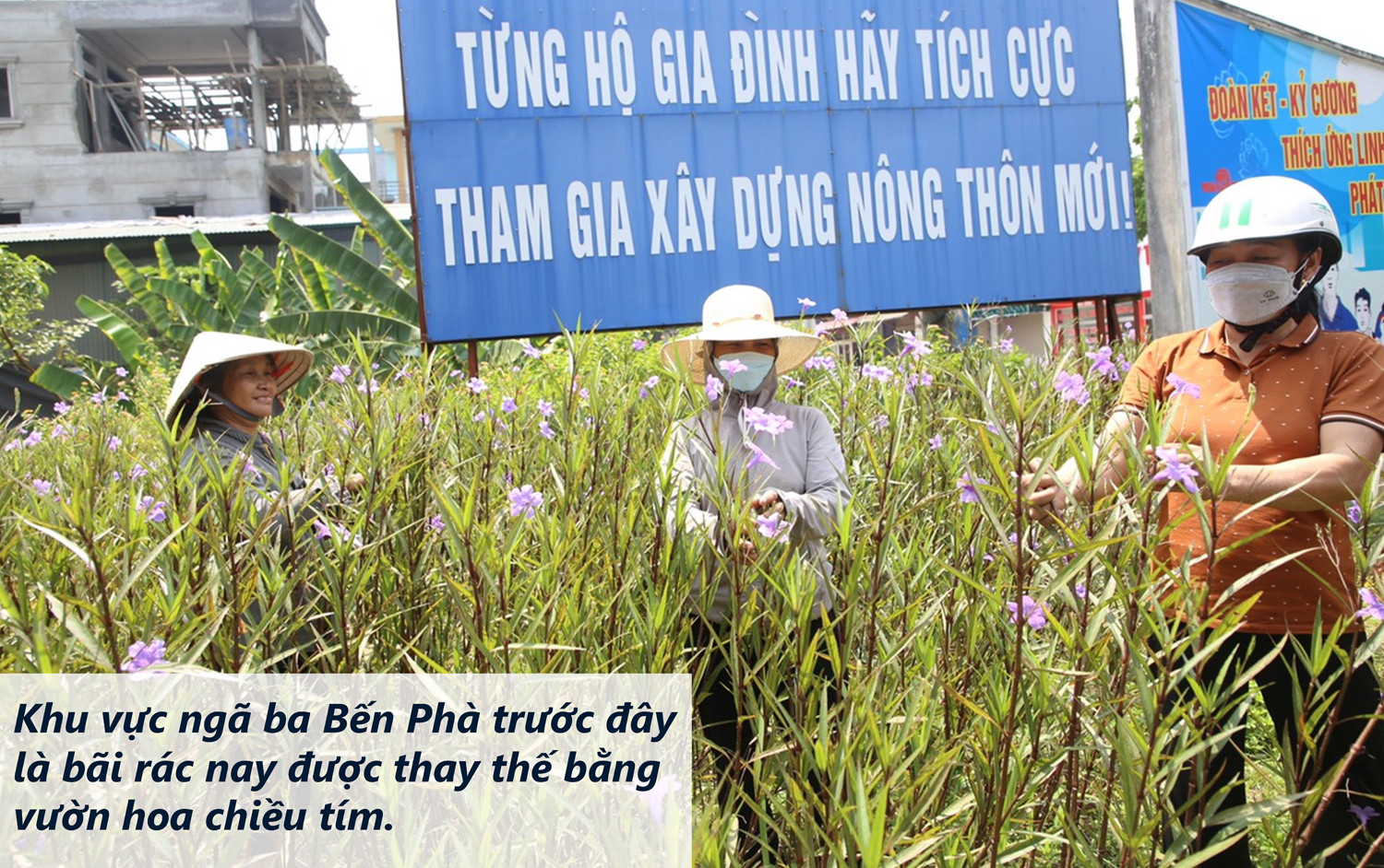 Khi bãi rác… nở hoa ảnh 5 Khi bãi rác… nở hoa ảnh 5