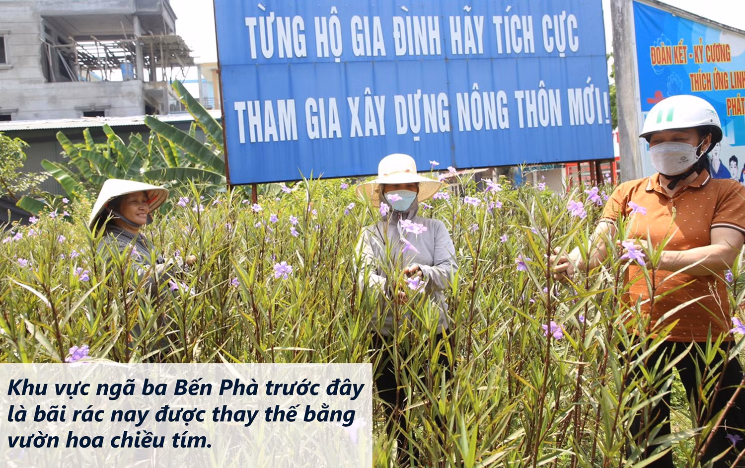 Khi bãi rác… nở hoa ảnh 5