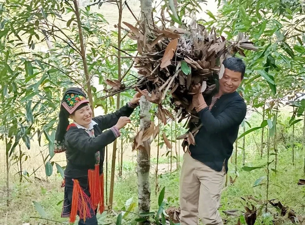 Phụ nữ vùng cao và câu chuyện quyền bình đẳng ảnh 1 Phụ nữ vùng cao và câu chuyện quyền bình đẳng ảnh 1