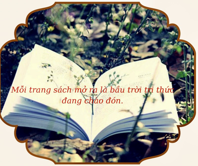 Đọc sách - lựa chọn hữu ích mùa hè ảnh 4