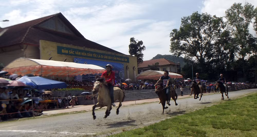 Festival "Cao nguyên trắng" Bắc Hà 2022 diễn ra từ ngày 4 – 12/6 ảnh 1