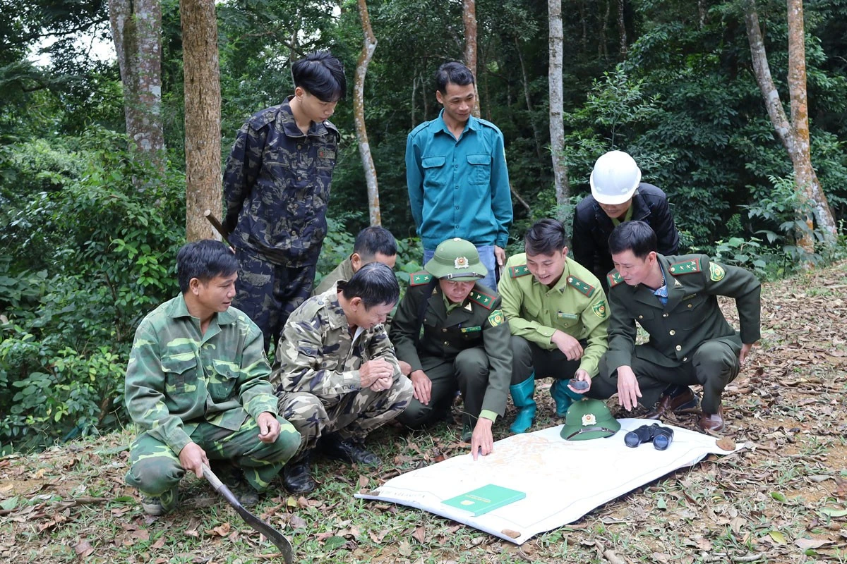 Tăng cường tuần tra rừng. Tăng cường tuần tra rừng.