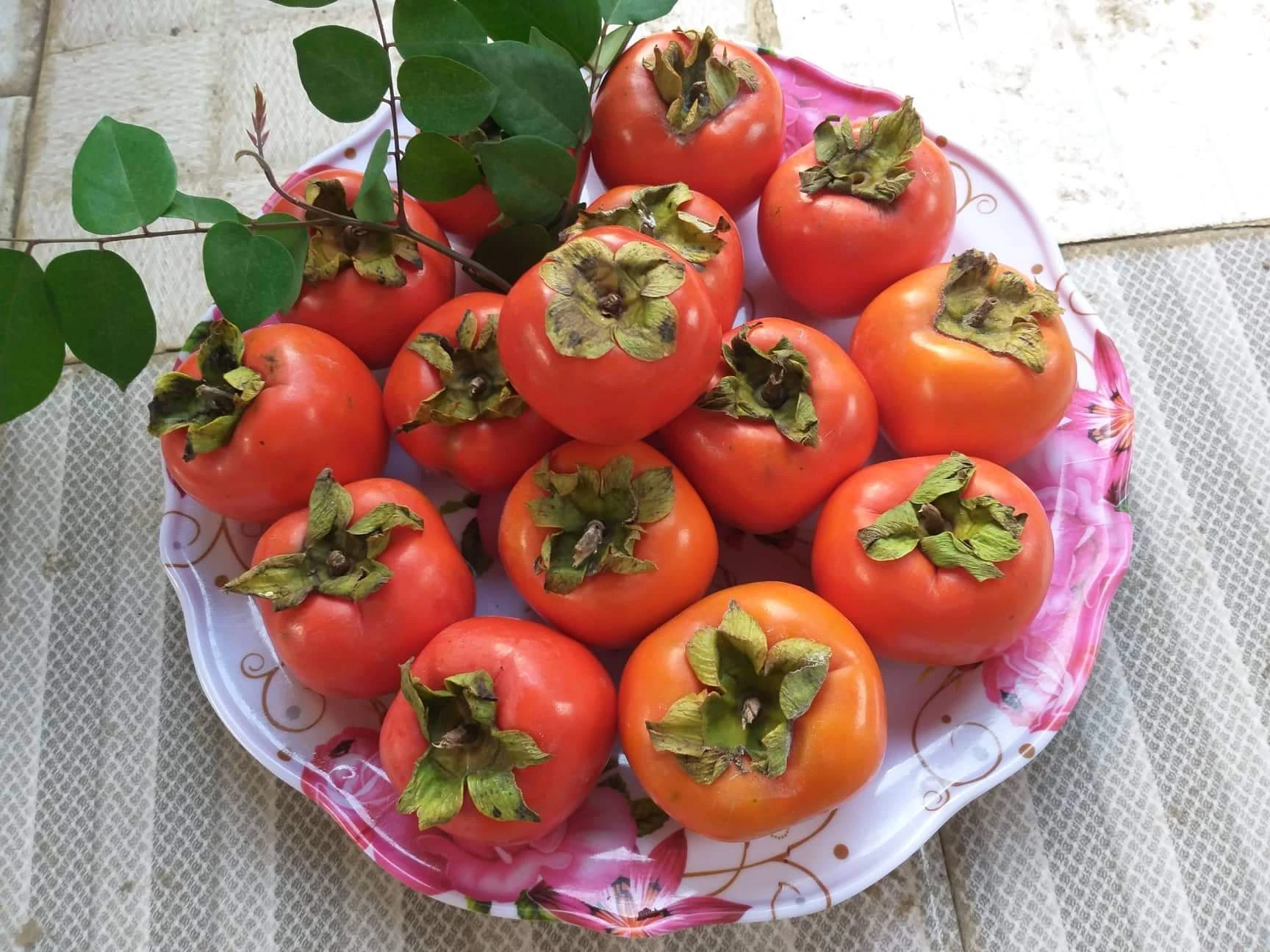 Món quà của mùa thu ảnh 1