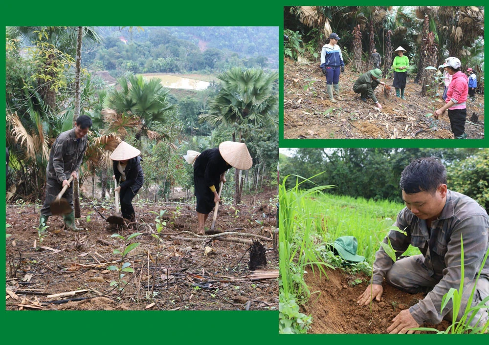 Nhân dân các địa phương tích cực trồng rừng.