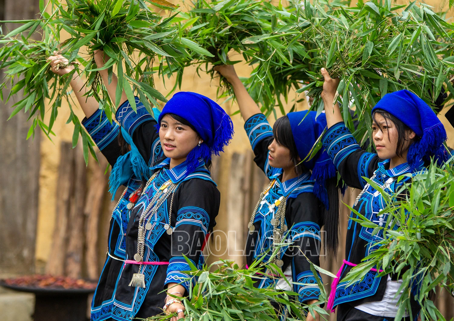 Người Hà Nhì ở vùng cao Y Tý ảnh 3