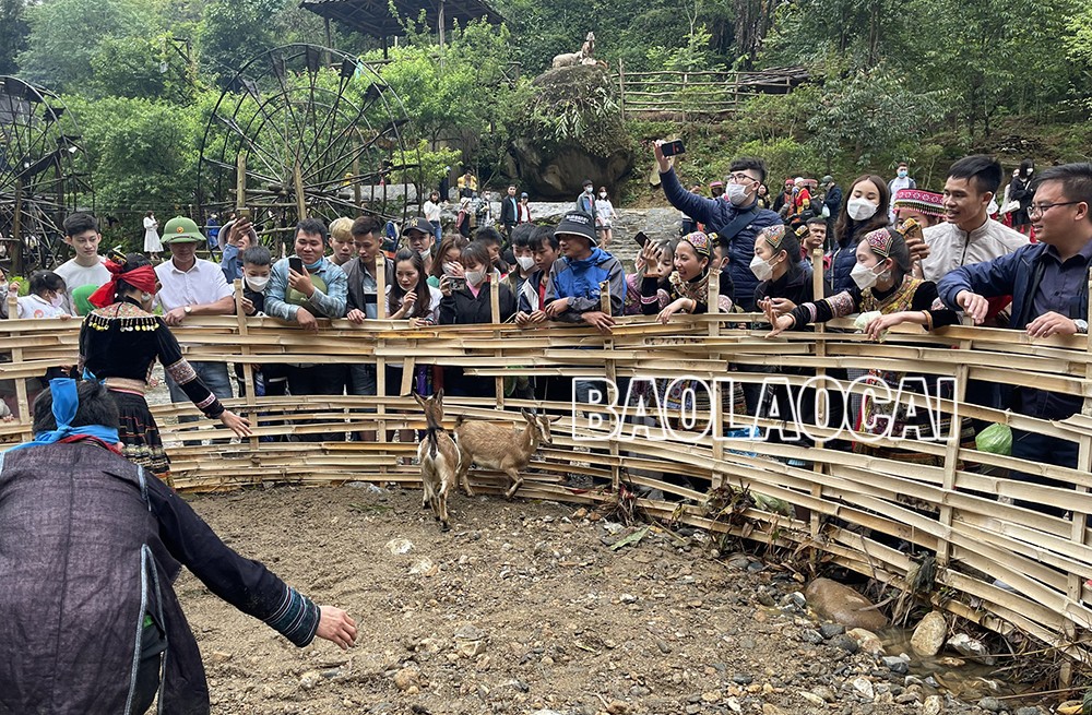 Biểu diễn trò chơi bịt mắt bắt dê. Thi đẩy gậy.