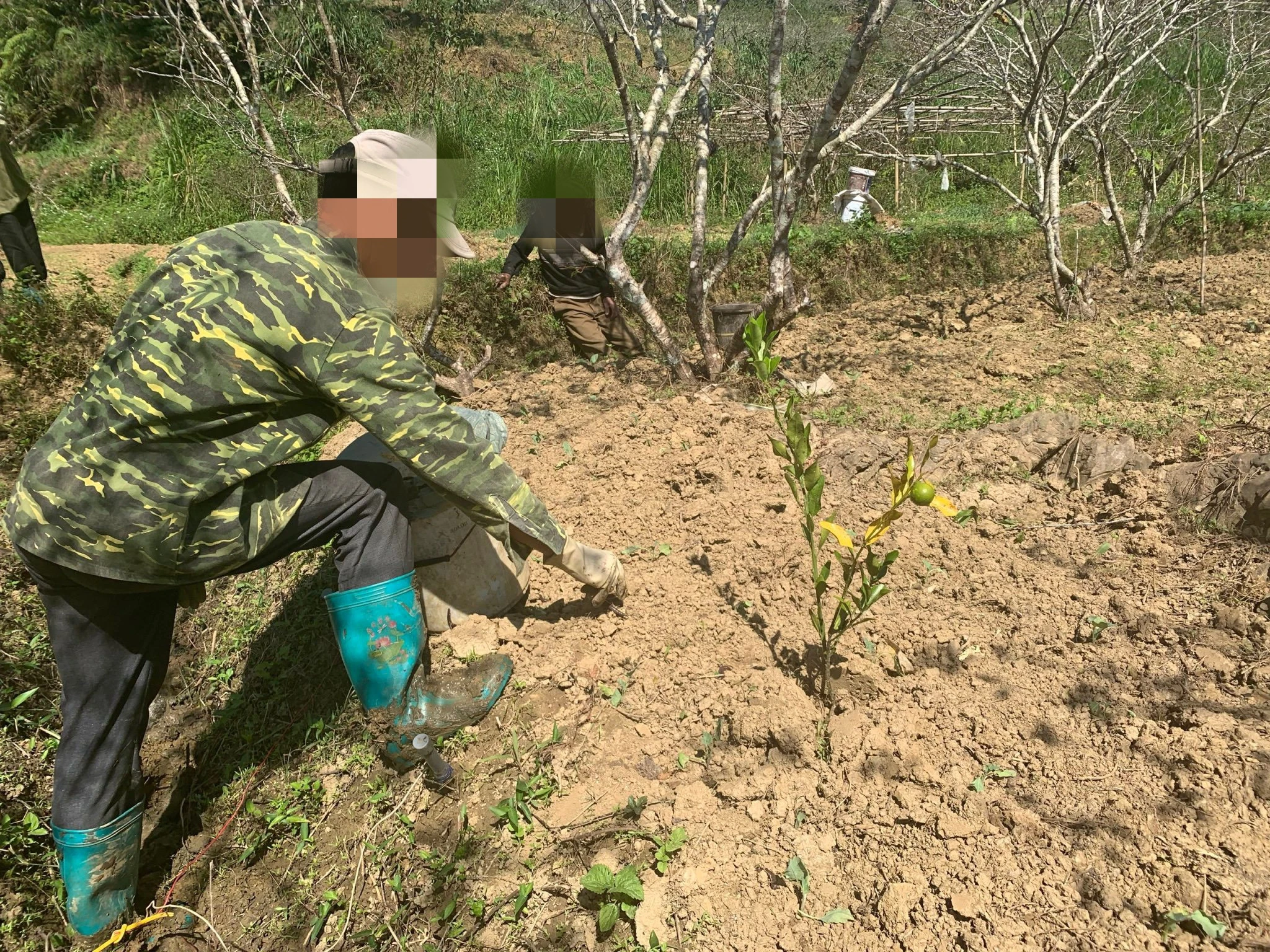 Bắc Hà: Bất thường việc người dân đổ xô đi bắt giun đất bằng kích điện ảnh 4