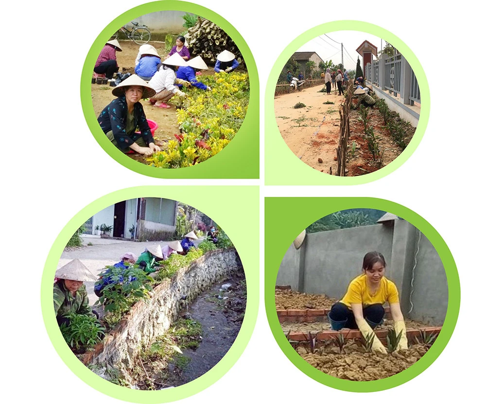 Lan tỏa phong trào trồng cây xanh ảnh 1