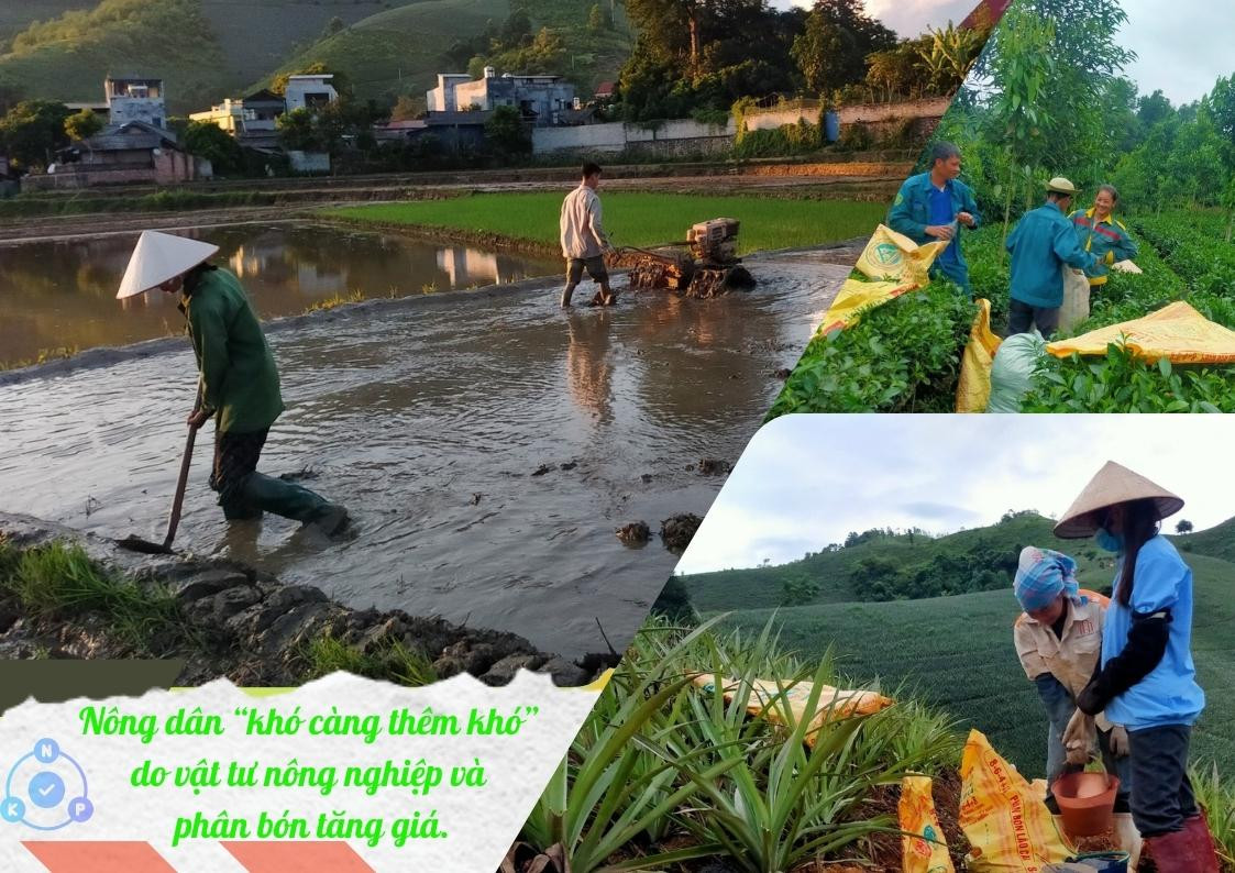 Vật tư nông nghiệp tăng giá: Thách thức mở ra cơ hội ảnh 1 Vật tư nông nghiệp tăng giá: Thách thức mở ra cơ hội ảnh 1