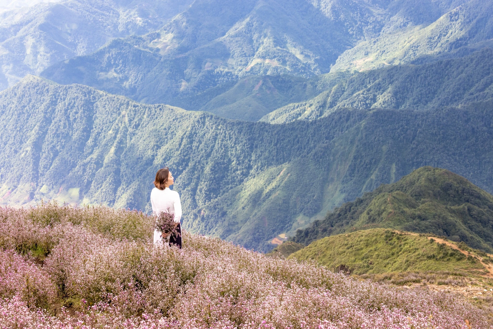 Lên "nóc nhà" Yên Bái, săn mùa hoa tím Tà Chì Nhù đẹp như ở trời Âu ảnh 3 Lên "nóc nhà" Yên Bái, săn mùa hoa tím Tà Chì Nhù đẹp như ở trời Âu ảnh 3