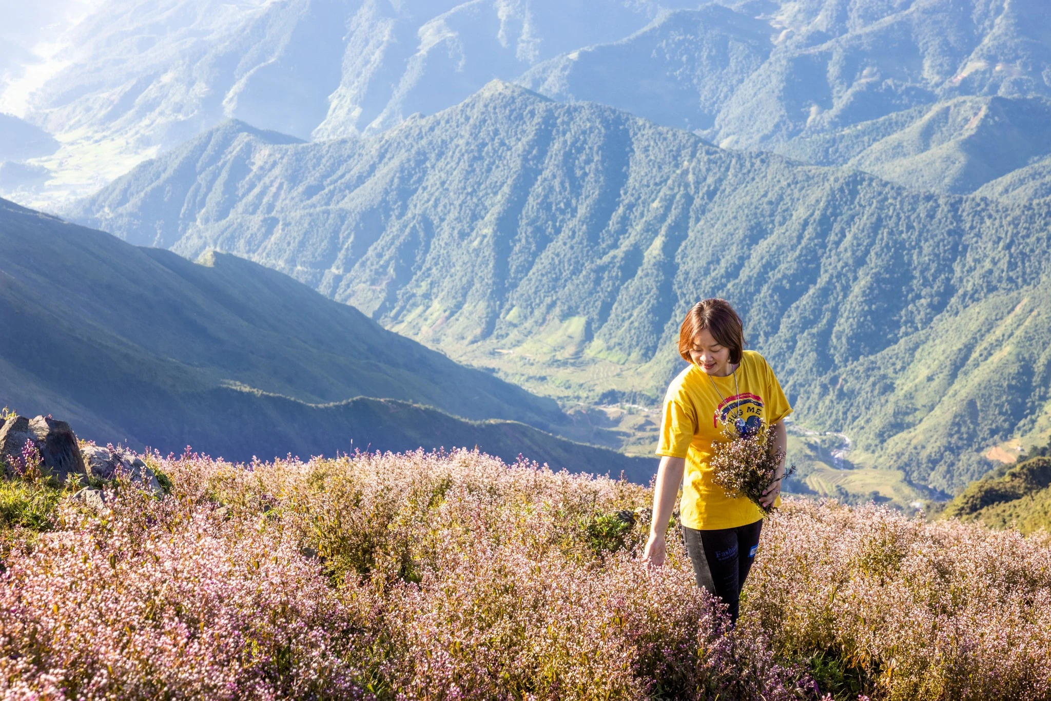 Lên "nóc nhà" Yên Bái, săn mùa hoa tím Tà Chì Nhù đẹp như ở trời Âu ảnh 2 Lên "nóc nhà" Yên Bái, săn mùa hoa tím Tà Chì Nhù đẹp như ở trời Âu ảnh 2