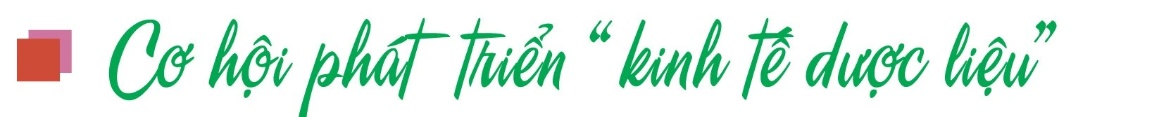 Chuyển từ “trồng dược liệu” sang “kinh tế dược liệu” ảnh 1