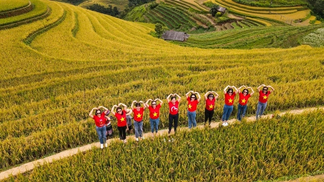 Bức tranh mùa vàng đẹp ngỡ ngàng của đồi mâm xôi ở Yên Bái - Ảnh 10.