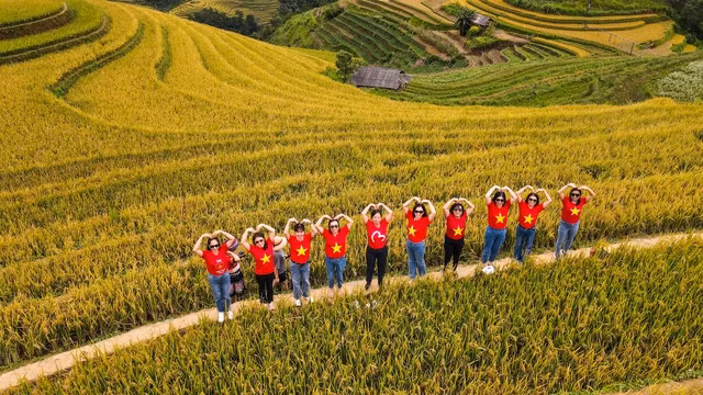 Bức tranh mùa vàng đẹp ngỡ ngàng của đồi mâm xôi ở Yên Bái - Ảnh 10.