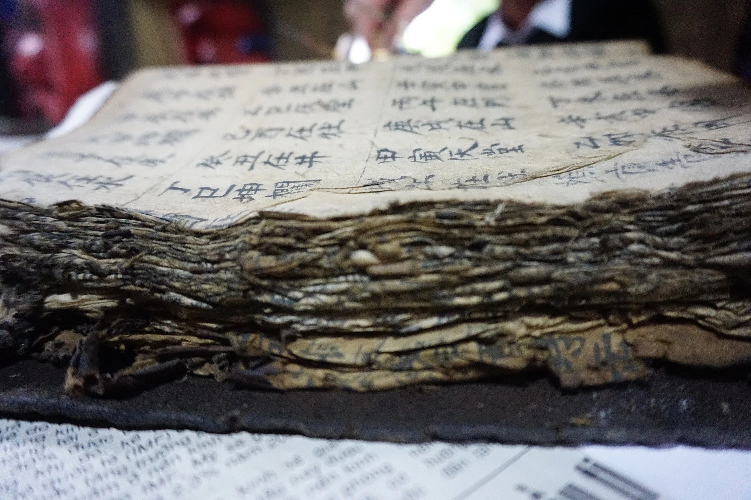 “Cây cao bóng cả” ở Thẳm Con ảnh 3