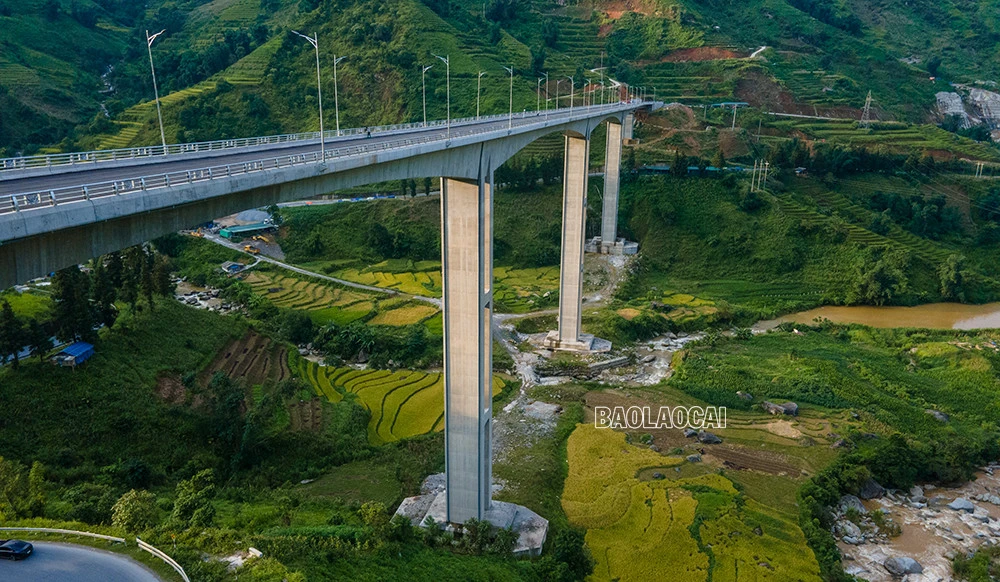 Cầu được xây dựng bằng bê tông cốt thép, bề mặt rộng 14m với 4 làn xe, 5 nhịp liên tục, trong đó, nhịp dài nhất là 132m, được thi công bằng phương pháp dầm hộp đúc hẫng cân bằng. Sau khi tuyến đường này hoàn thành sẽ tạo thuận lợi cho việc đi lại, giao thương, góp phần thúc đẩy phát triển kinh tế - xã hội của tỉnh Lào Cai và khu vực Tây Bắc. Cầu Móng Sến được khởi công từ đầu năm 2020, đến nay các hạng mục đã và đang dần hoàn thành. Do bắc qua thung lũng, lại có độ cao gần 100m nên công trường cầu Móng Sến thường xuyên có mây mù bao phủ, cây cầu như đi xuyên vào mây. Đứng trên cầu phóng tầm mắt ra xa theo nhiều hướng là những thửa ruộng bậc thang tuyệt đẹp. Đây là cây cầu cạn vượt địa hình nối từ khu vực chân dốc lên đỉnh dốc ba tầng - đoạn đường khó đi, quanh co, nguy hiểm nhất trong cung đường từ thành phố Lào Cai lên thị xã Sa Pa. Đến thời điểm hiện tại, công trình đã hoàn thành 99% khối lượng công việc, còn một số hạng mục cuối cùng trước khi đi vào hoạt động như hệ thống đèn chiếu sáng, vạch sơn kẻ đường và thảm đường dẫn 2 bên đầu cầu. Cây cầu cạn cao nhất Việt Nam, có ý nghĩa “then chốt” trong xây dựng tuyến đường nối cao tốc Nội Bài – Lào Cai đến Khu du lịch quốc gia Sa Pa.