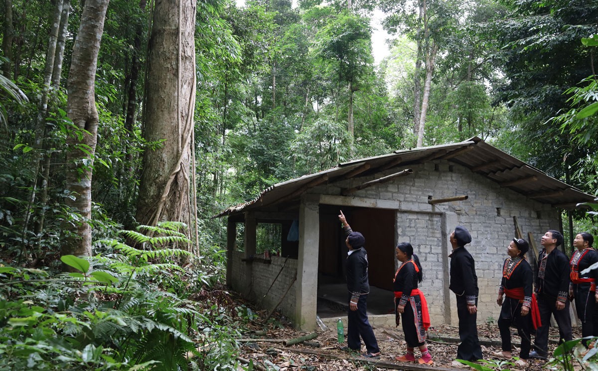 Huyền tích “rừng giếng ngọc” ảnh 2 Huyền tích “rừng giếng ngọc” ảnh 2