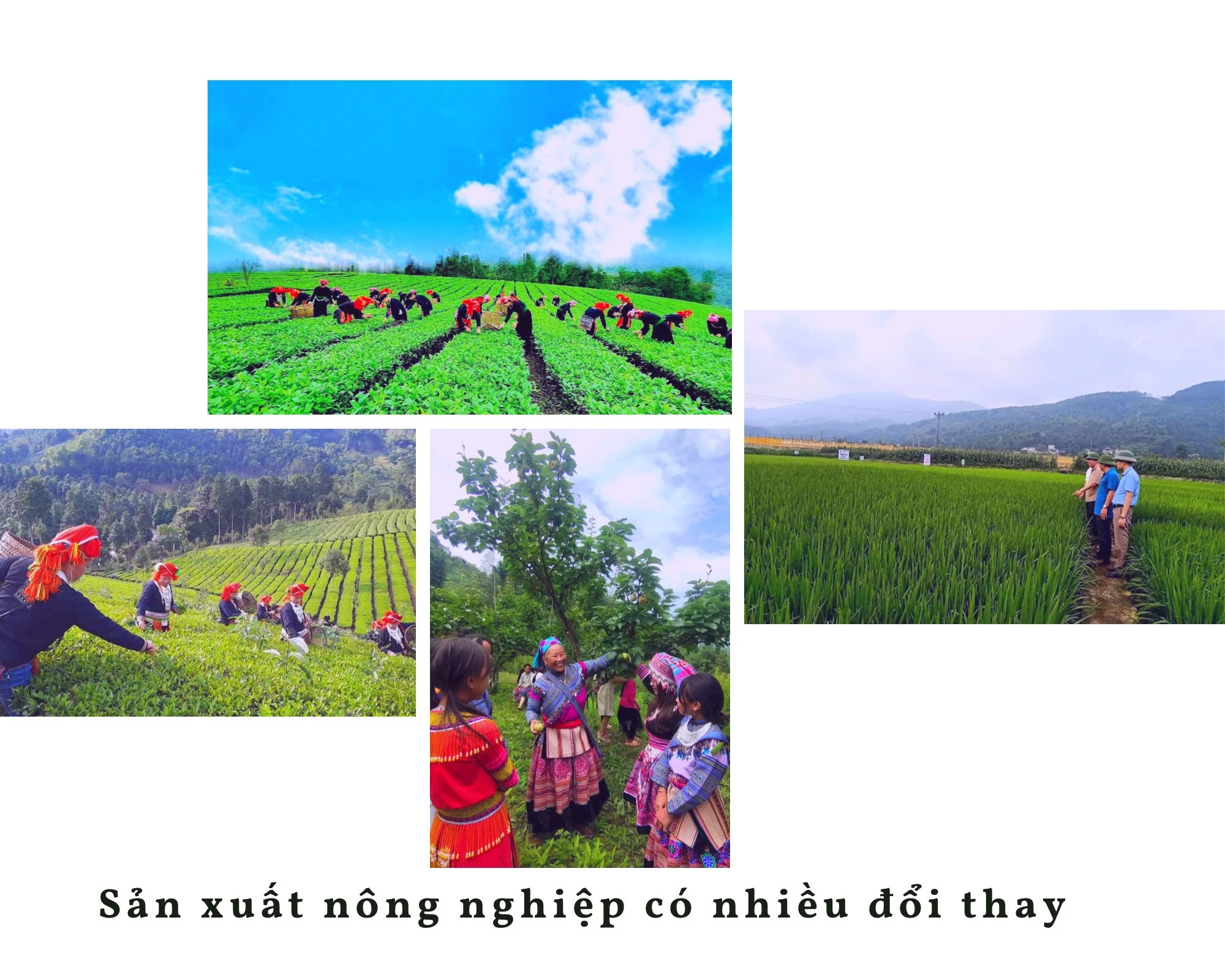 Tự hào với sự phát triển của Lào Cai ảnh 10