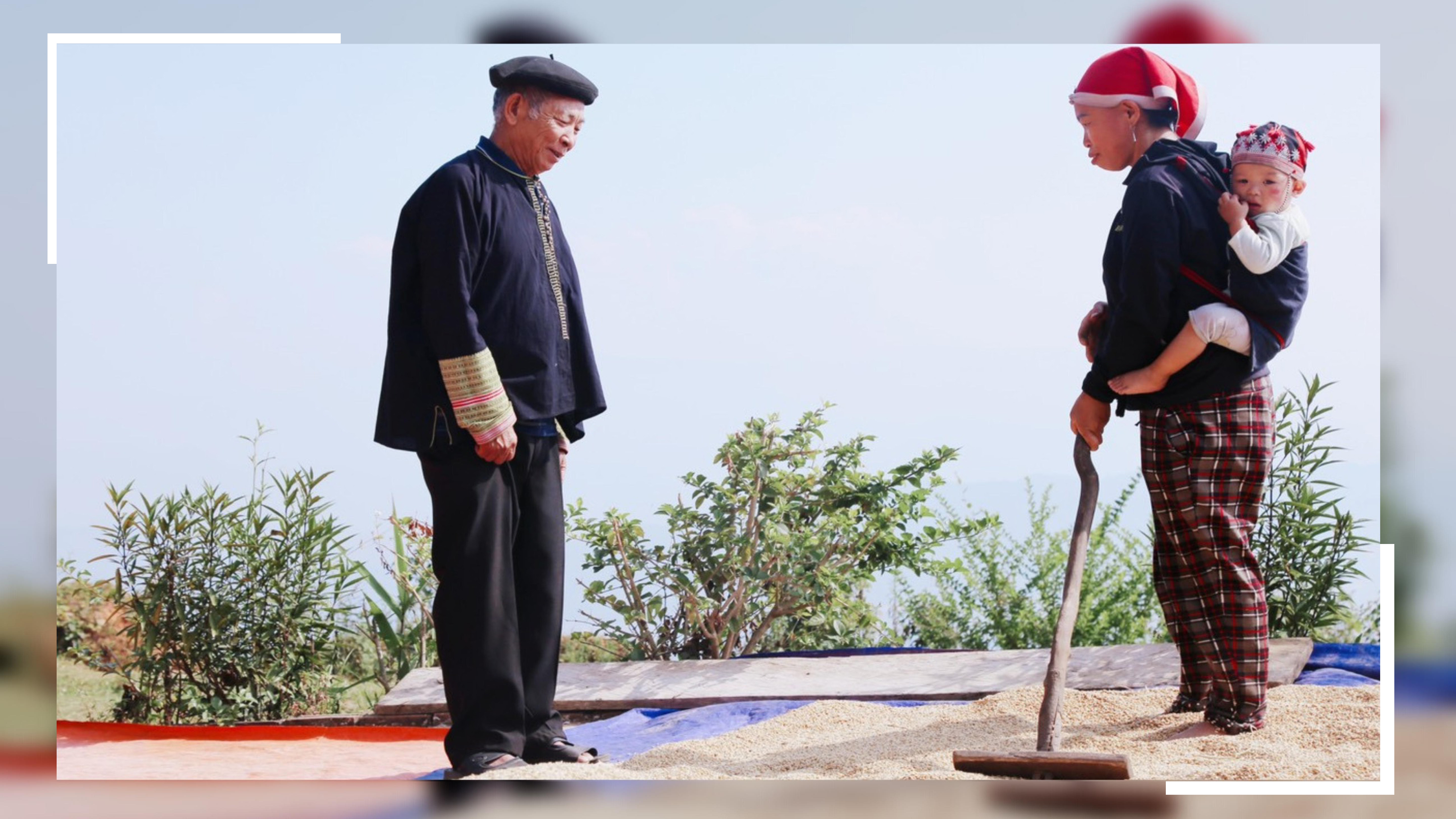 "Cánh chim đầu đàn" của thôn người Dao ảnh 9 "Cánh chim đầu đàn" của thôn người Dao ảnh 9