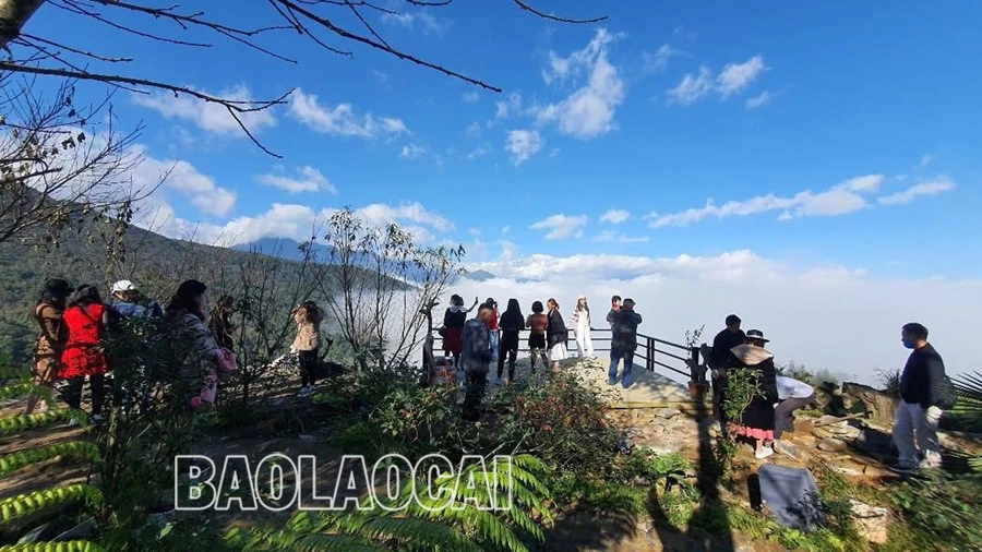 Chọn Y Tý, du khách thỏa lòng với phong cảnh hoang sơ ảnh 6