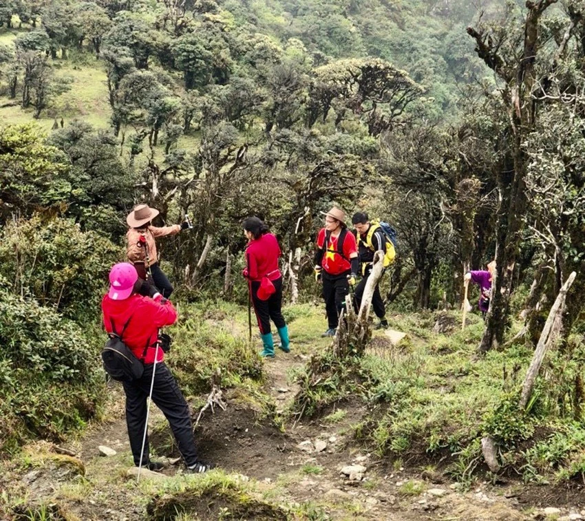 Chiêm ngưỡng vẻ đẹp “đệ nhất hoa" của núi rừng Ky Quan San ảnh 10