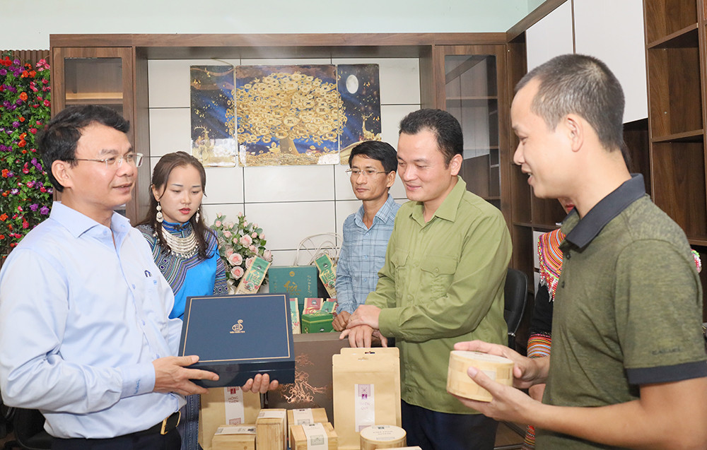 Đưa Mường Khương trở thành vùng trọng điểm chè của tỉnh ảnh 8