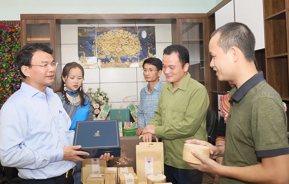 Đưa Mường Khương trở thành vùng trọng điểm chè của tỉnh ảnh 8