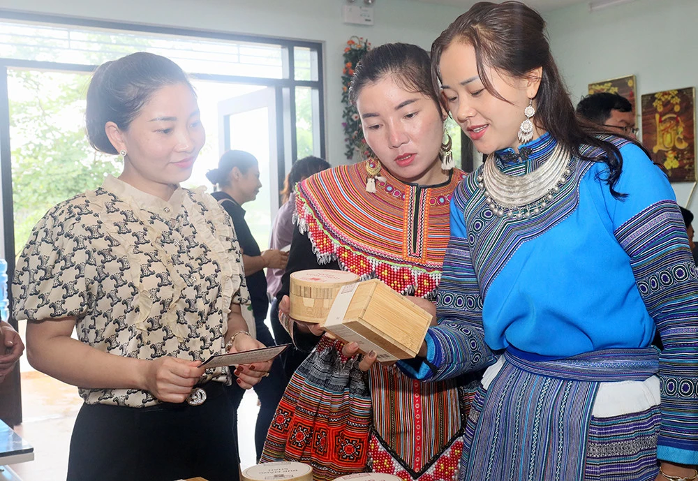 Đưa Mường Khương trở thành vùng trọng điểm chè của tỉnh ảnh 9