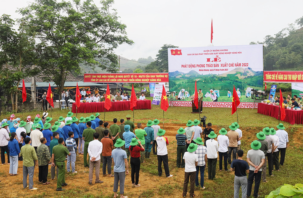 Đưa Mường Khương trở thành vùng trọng điểm chè của tỉnh ảnh 1