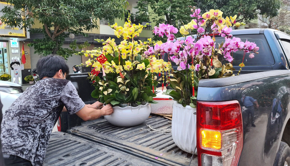 Công việc “hái” ra tiền mỗi dịp Tết đến ảnh 3 Công việc “hái” ra tiền mỗi dịp Tết đến ảnh 3