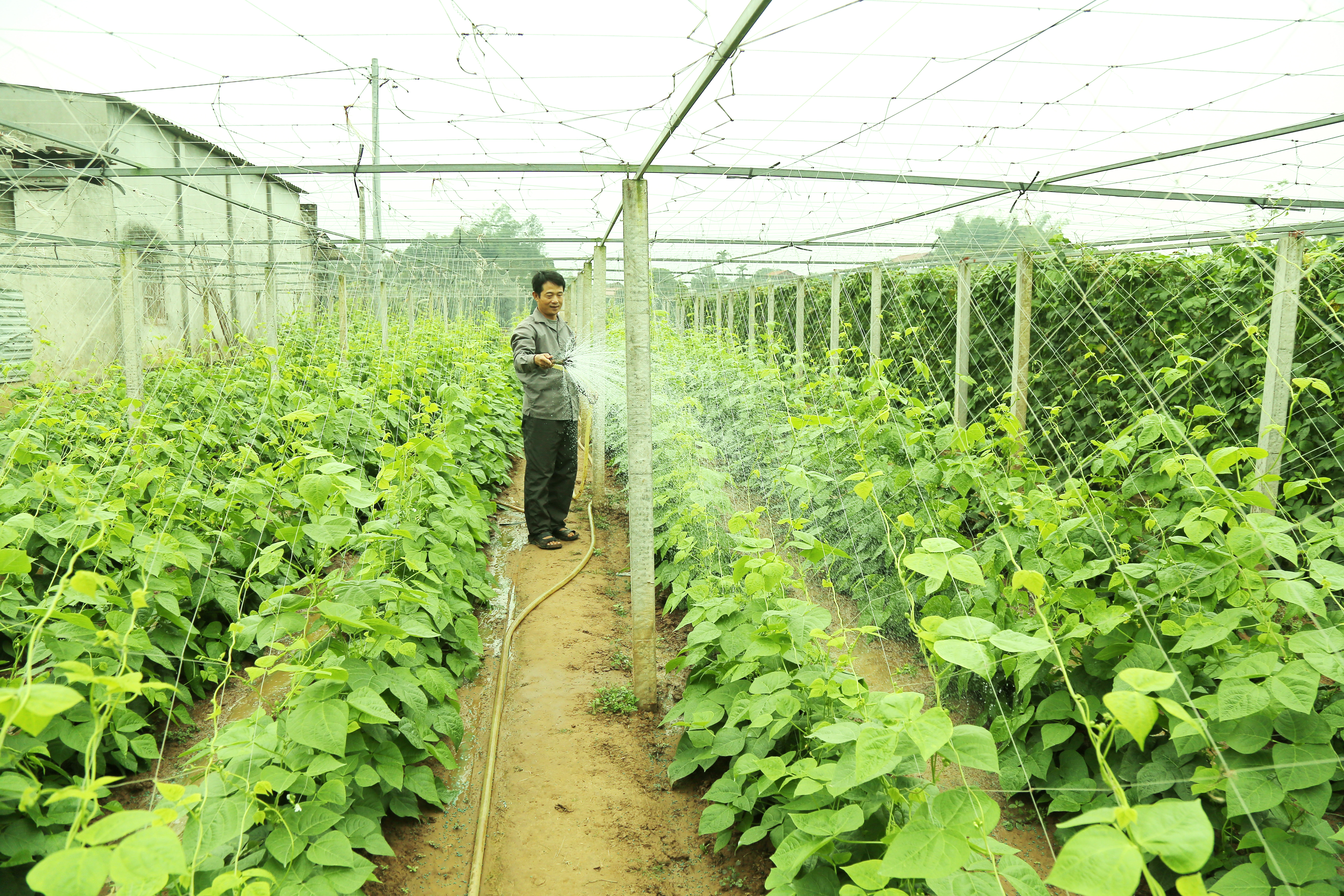 Xã Thống Nhất xây dựng nông thôn mới nâng cao ảnh 1