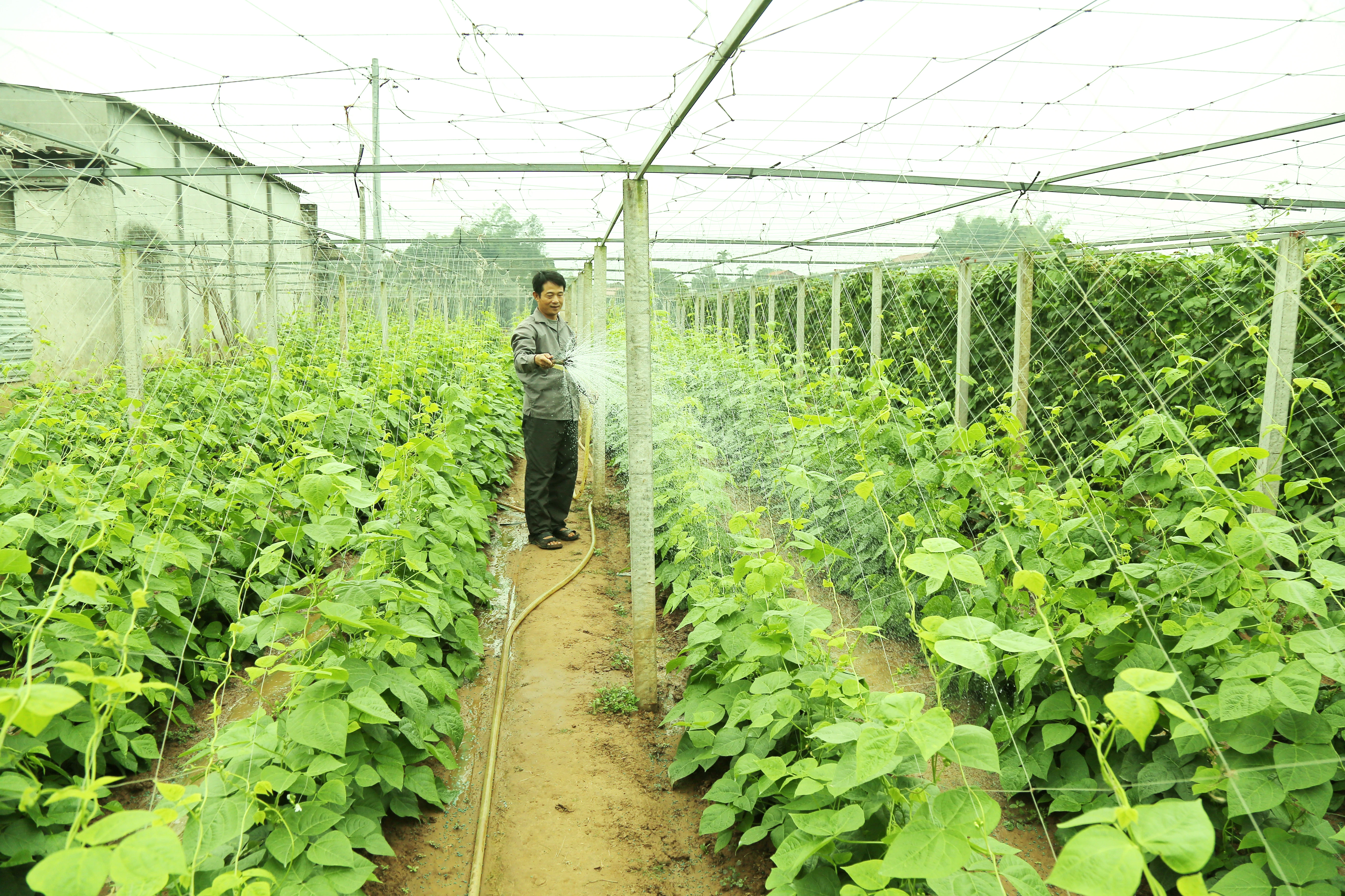 Xã Thống Nhất xây dựng nông thôn mới nâng cao ảnh 1