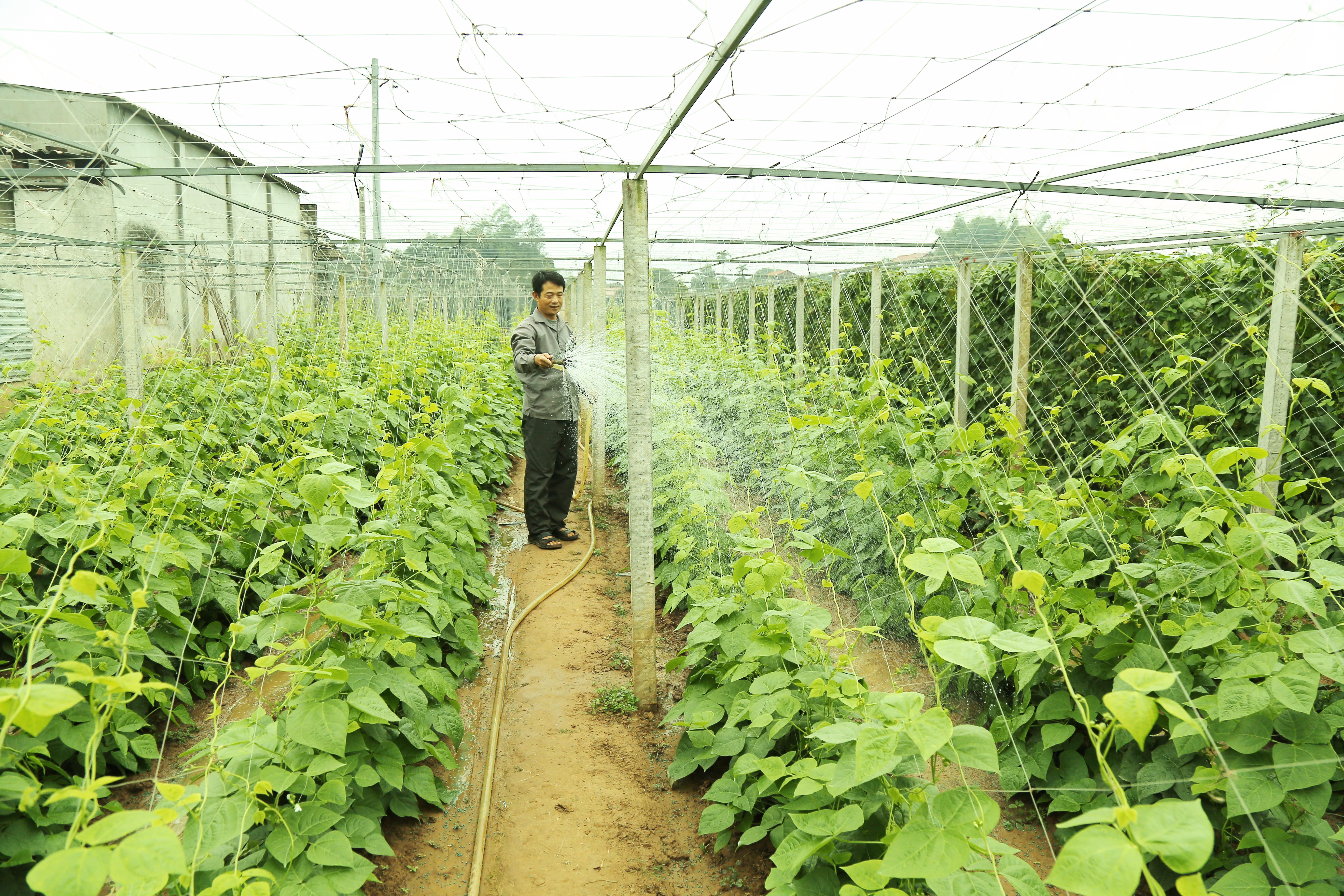 Xã Thống Nhất xây dựng nông thôn mới nâng cao ảnh 1