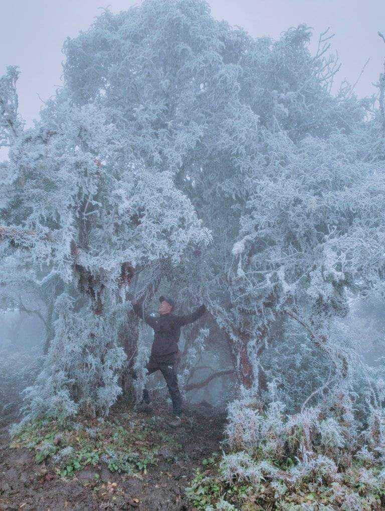 Du khách thích thú "săn" băng giá trên các đỉnh núi cao tại Bát Xát ảnh 4 Du khách thích thú "săn" băng giá trên các đỉnh núi cao tại Bát Xát ảnh 4