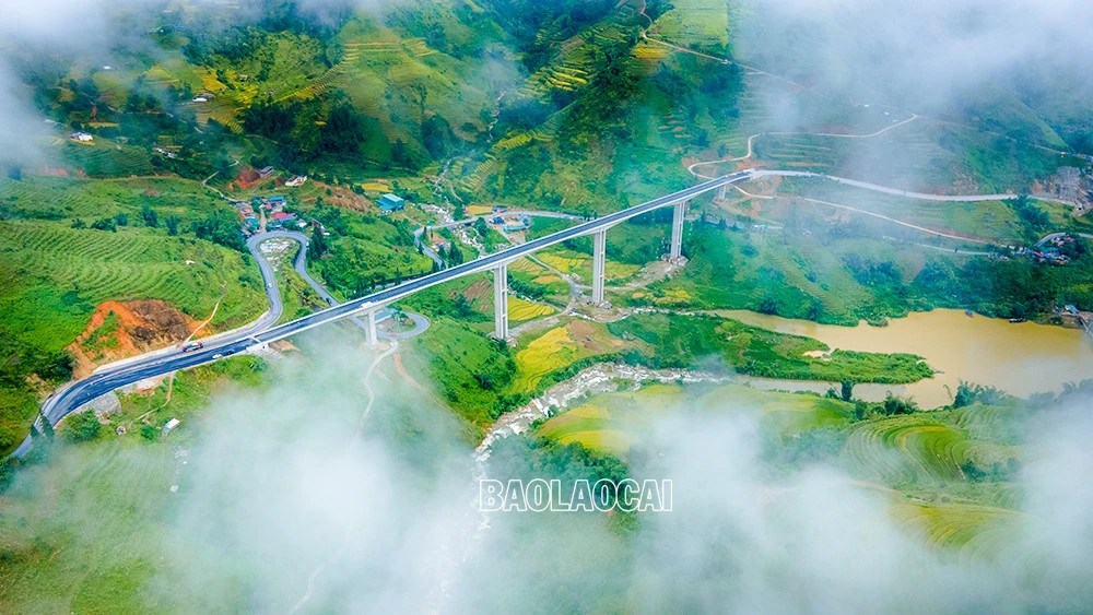 Cầu được xây dựng bằng bê tông cốt thép, bề mặt rộng 14m với 4 làn xe, 5 nhịp liên tục, trong đó, nhịp dài nhất là 132m, được thi công bằng phương pháp dầm hộp đúc hẫng cân bằng. Sau khi tuyến đường này hoàn thành sẽ tạo thuận lợi cho việc đi lại, giao thương, góp phần thúc đẩy phát triển kinh tế - xã hội của tỉnh Lào Cai và khu vực Tây Bắc. Cầu Móng Sến được khởi công từ đầu năm 2020, đến nay các hạng mục đã và đang dần hoàn thành. Do bắc qua thung lũng, lại có độ cao gần 100m nên công trường cầu Móng Sến thường xuyên có mây mù bao phủ, cây cầu như đi xuyên vào mây. Đứng trên cầu phóng tầm mắt ra xa theo nhiều hướng là những thửa ruộng bậc thang tuyệt đẹp. Đây là cây cầu cạn vượt địa hình nối từ khu vực chân dốc lên đỉnh dốc ba tầng - đoạn đường khó đi, quanh co, nguy hiểm nhất trong cung đường từ thành phố Lào Cai lên thị xã Sa Pa. Đến thời điểm hiện tại, công trình đã hoàn thành 99% khối lượng công việc, còn một số hạng mục cuối cùng trước khi đi vào hoạt động như hệ thống đèn chiếu sáng, vạch sơn kẻ đường và thảm đường dẫn 2 bên đầu cầu. Cây cầu cạn cao nhất Việt Nam, có ý nghĩa “then chốt” trong xây dựng tuyến đường nối cao tốc Nội Bài – Lào Cai đến Khu du lịch quốc gia Sa Pa.