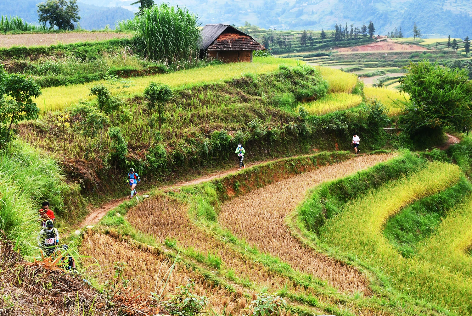 Nhà vô địch Seagames 31 Lê Tiến Long về nhất Giải Marathon vượt núi Tây Bắc - Lào Cai 2022 ảnh 3 Nhà vô địch Seagames 31 Lê Tiến Long về nhất Giải Marathon vượt núi Tây Bắc - Lào Cai 2022 ảnh 3